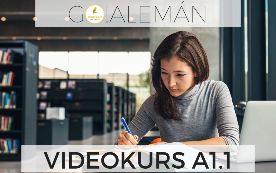 German Grammar Video Course- Level A1.1