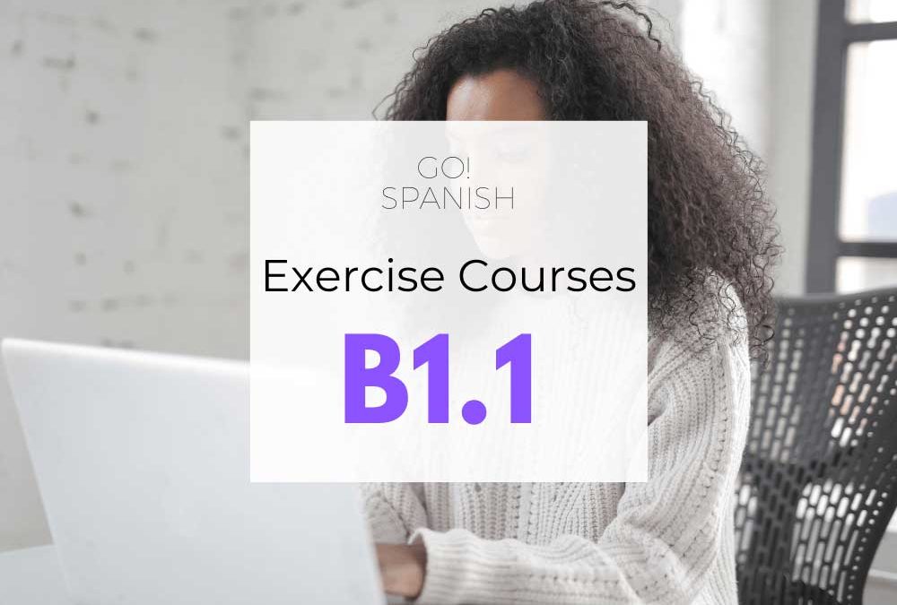 GO!Spanish B1.1 Exercise Course